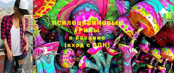дживик Баксан