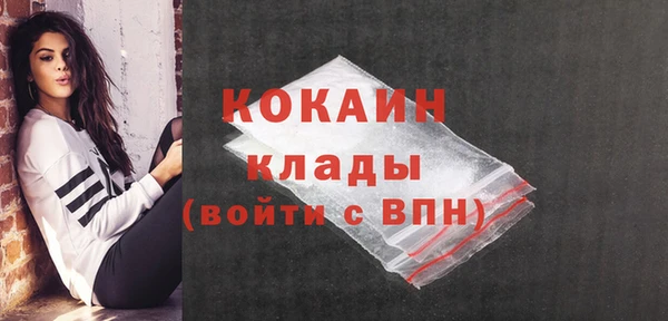 дживик Баксан