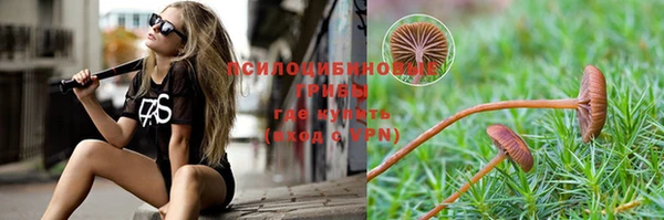 Альфа ПВП Беломорск