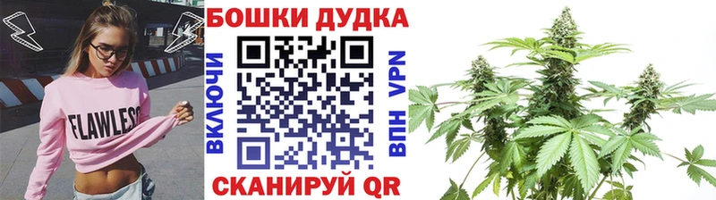 Конопля сатива  мега зеркало  Медынь 